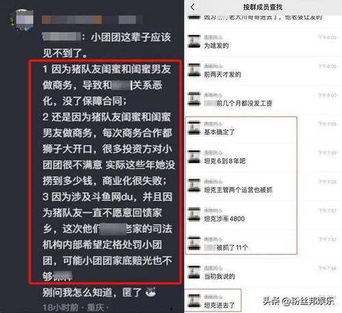 团团最新爆料,最新爆料背后的惊人真相
